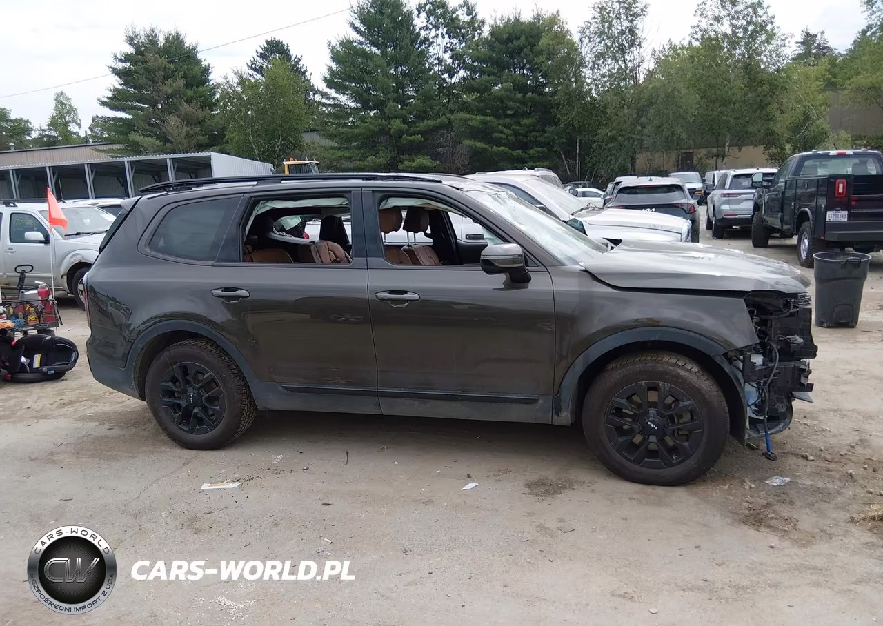 2024 Kia Telluride Sx X-Pro VIN:5XYP5DGC3RG559296 - 13