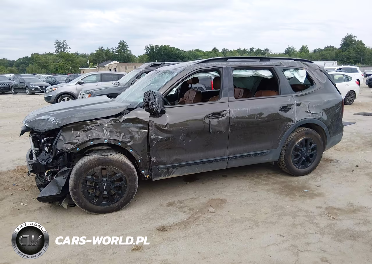 2024 Kia Telluride Sx X-Pro VIN:5XYP5DGC3RG559296 - 14