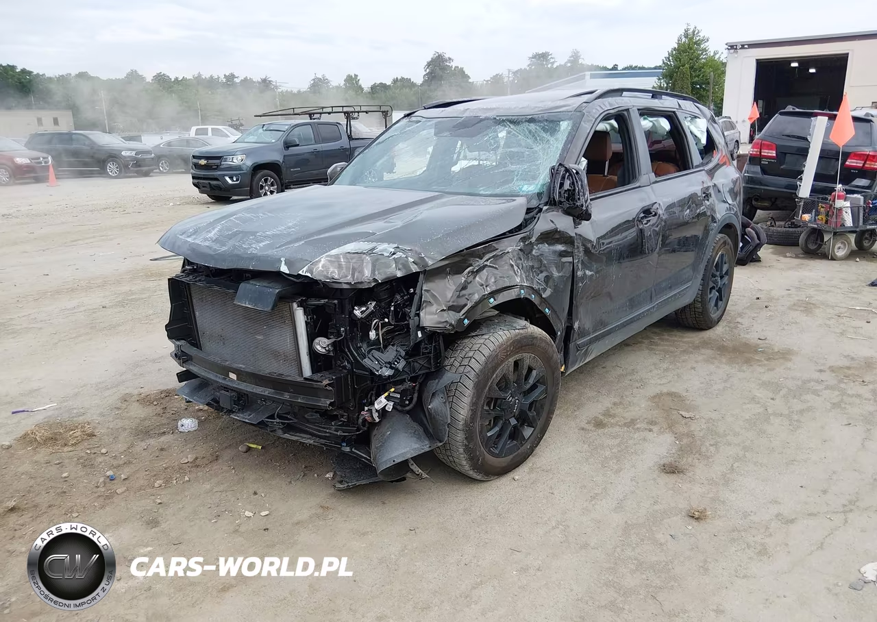 2024 Kia Telluride Sx X-Pro VIN:5XYP5DGC3RG559296 - 2