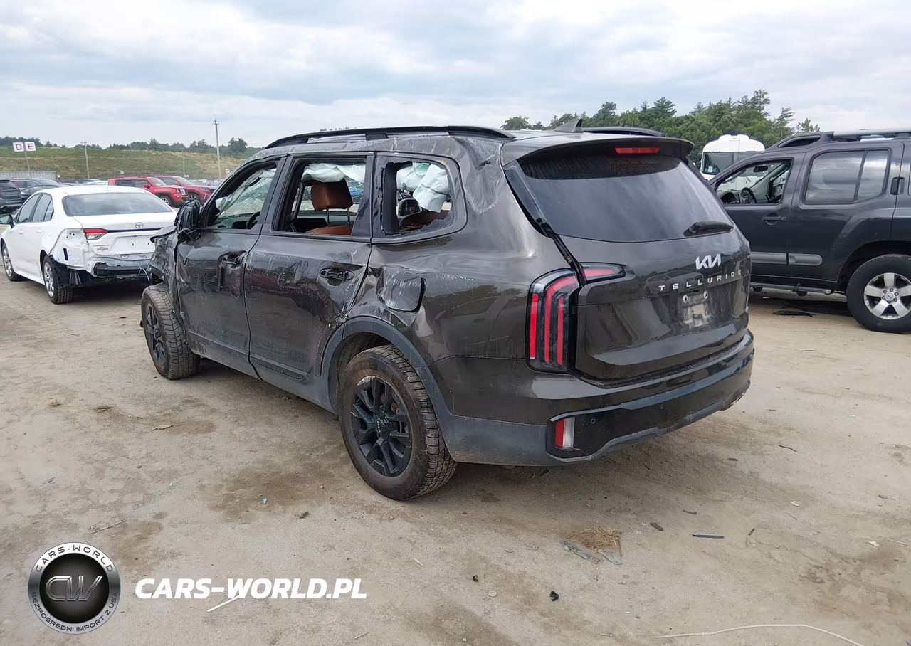2024 Kia Telluride Sx X-Pro VIN:5XYP5DGC3RG559296 - 3