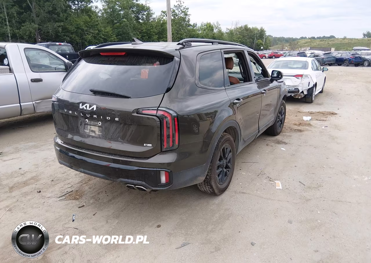 2024 Kia Telluride Sx X-Pro VIN:5XYP5DGC3RG559296 - 4