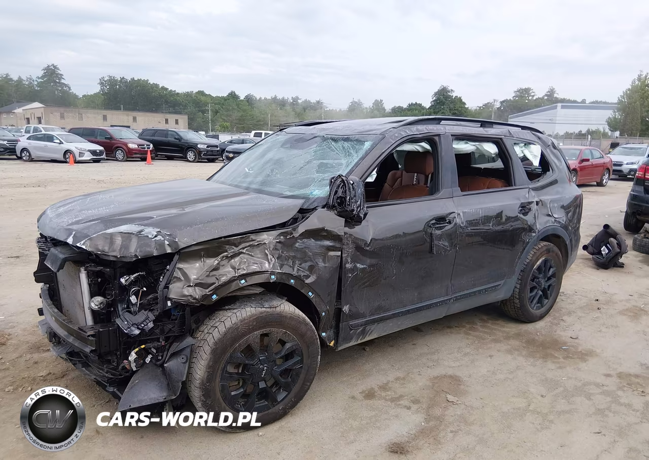 2024 Kia Telluride Sx X-Pro VIN:5XYP5DGC3RG559296 - 6