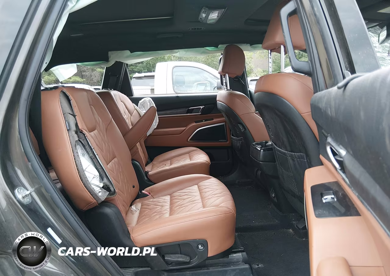 2024 Kia Telluride Sx X-Pro VIN:5XYP5DGC3RG559296 - 8