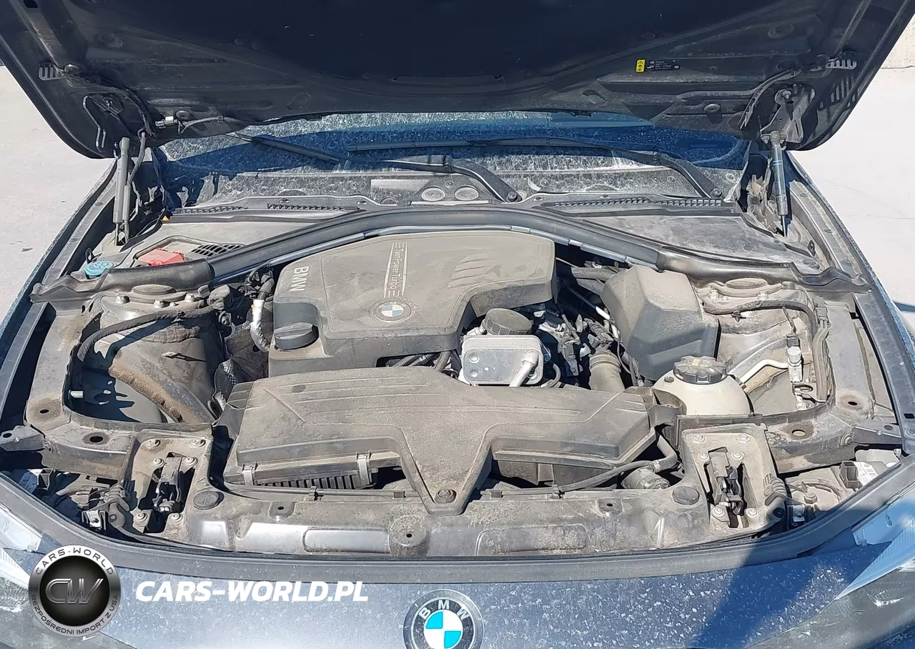 2017 BMW 320I VIN:WBA8E1G55HNU15192 - 10