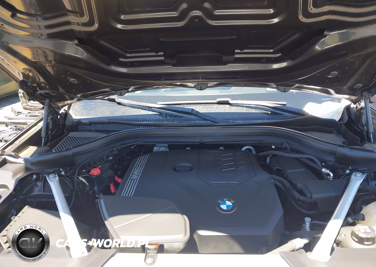 2022 BMW X3 Sdrive30I VIN:5UX43DP02N9M21385 - 10