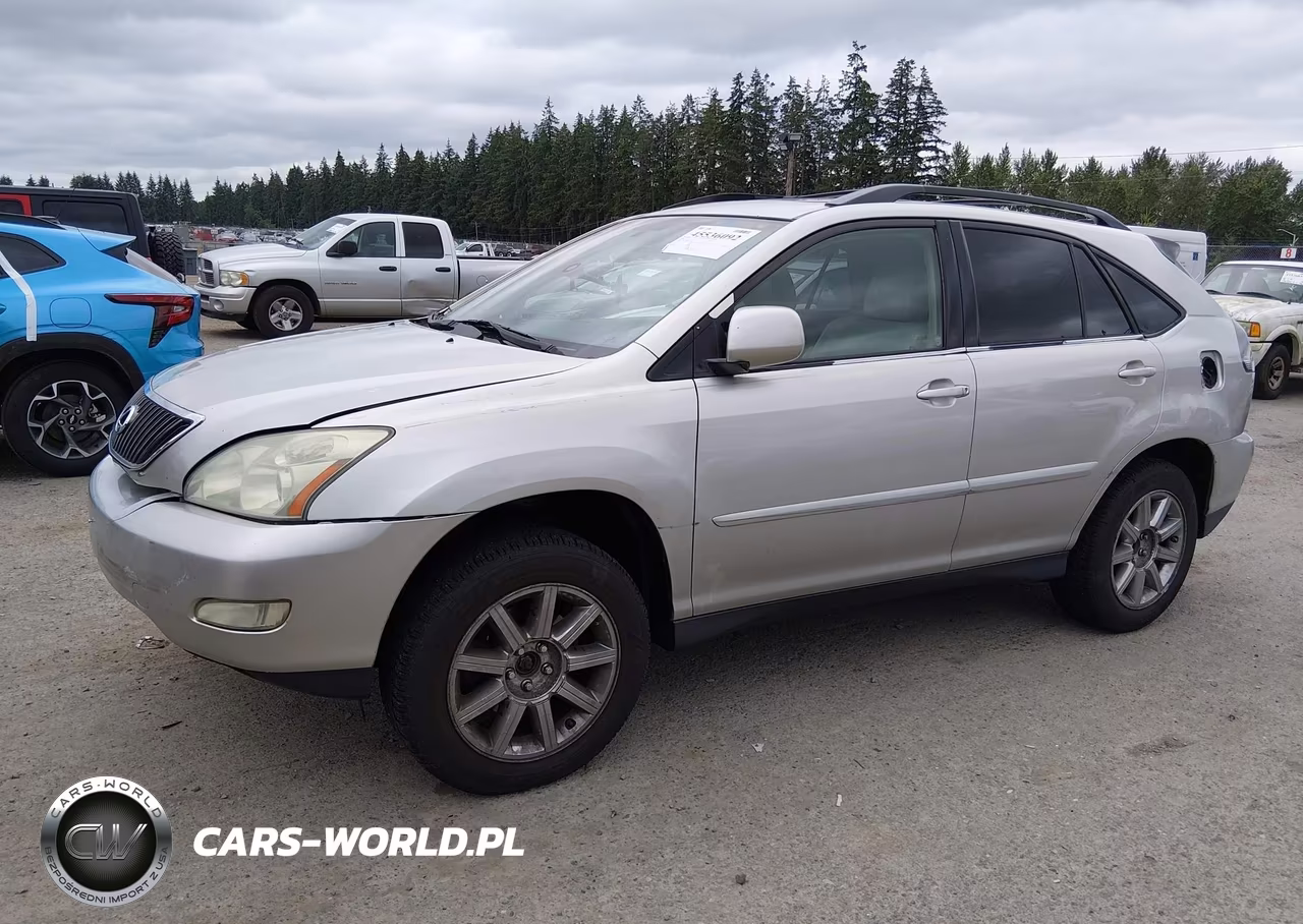 2004 Lexus Rx 330 VIN:JTJGA31U840024855 - 2