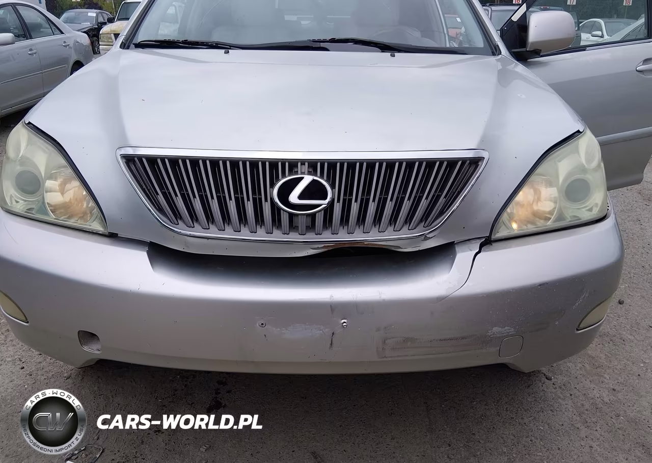 2004 Lexus Rx 330 VIN:JTJGA31U840024855 - 6