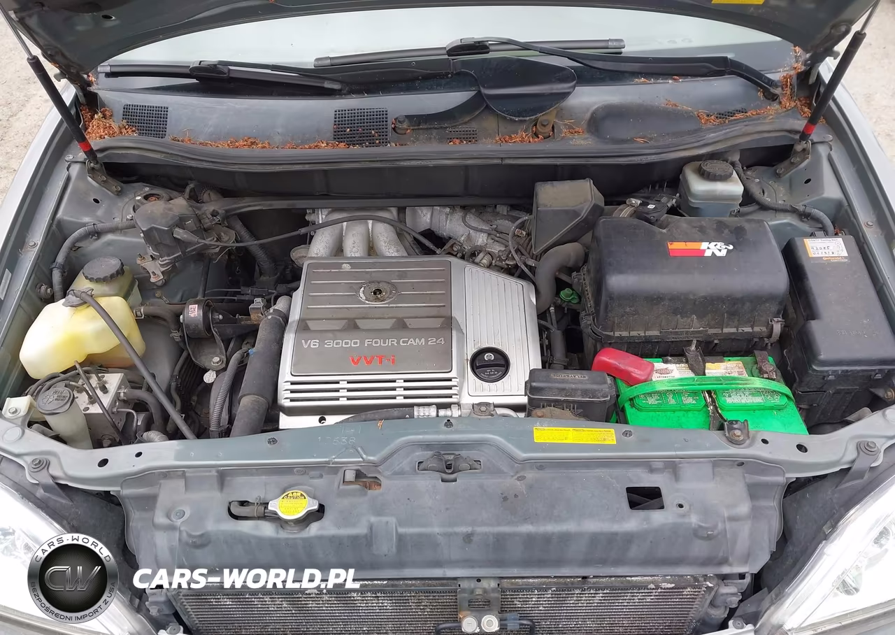 2002 Lexus Rx 300 VIN:JTJHF10U520264034 - 10