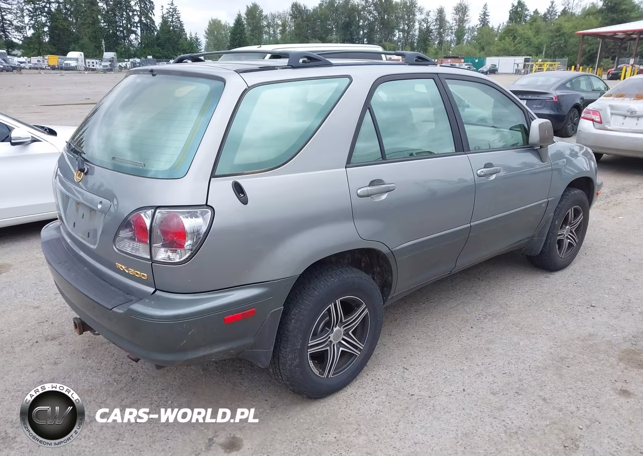 2002 Lexus Rx 300 VIN:JTJHF10U520264034 - 4
