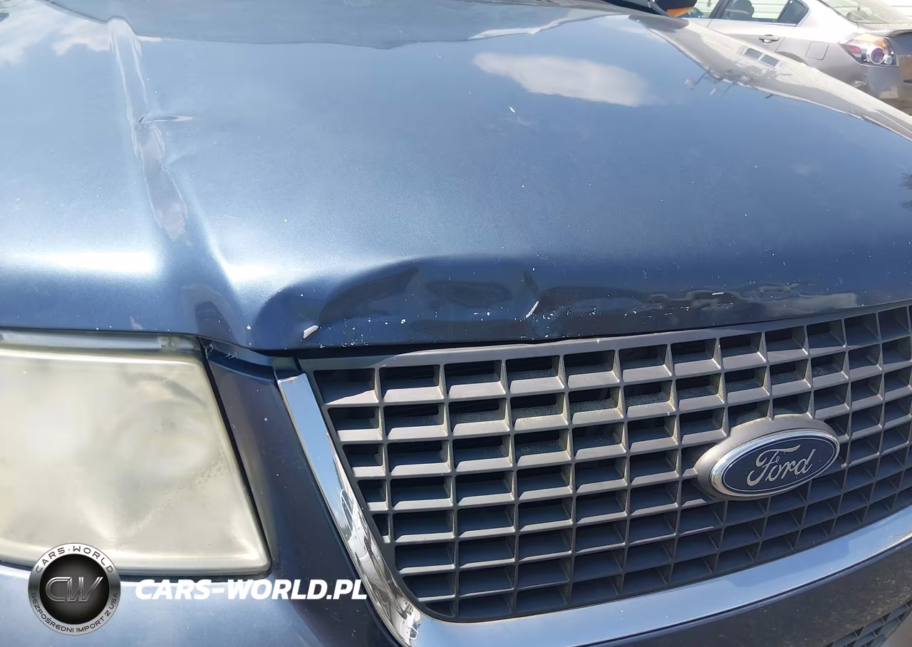 2004 Ford Expedition Eddie Bauer VIN:1FMRU17W24LA77335 - 13