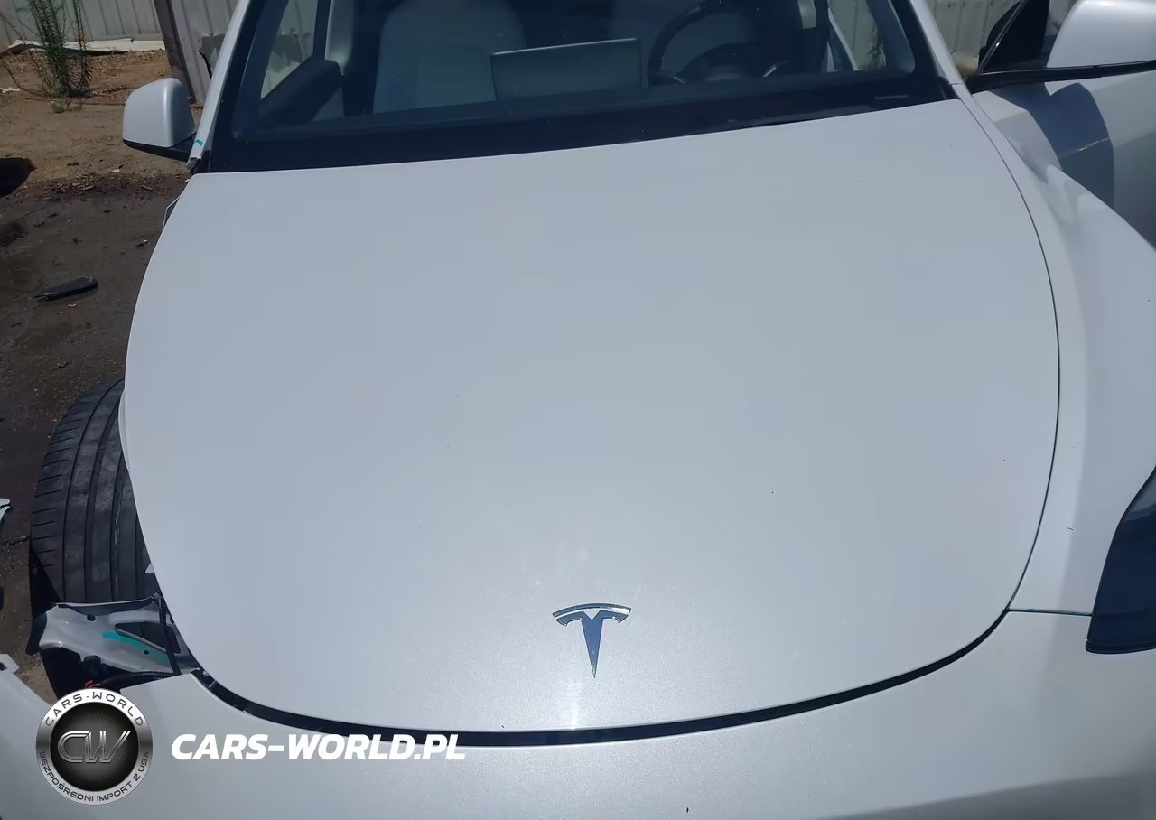 2022 Tesla Model Y Performance Dual Motor All-Wheel Drive VIN:7SAYGDEF4NF490019 - 10