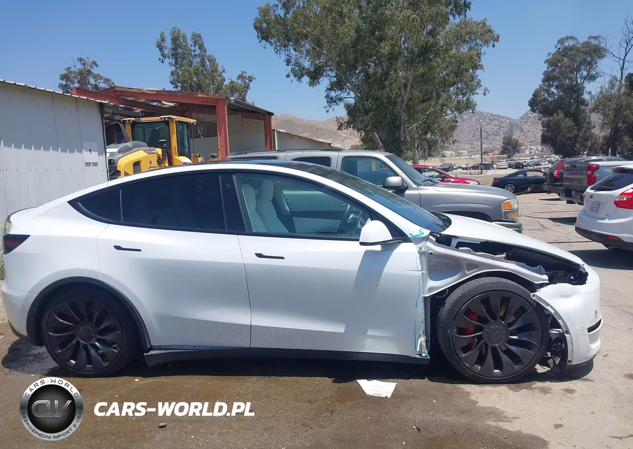 2022 Tesla Model Y Performance Dual Motor All-Wheel Drive VIN:7SAYGDEF4NF490019 - 12