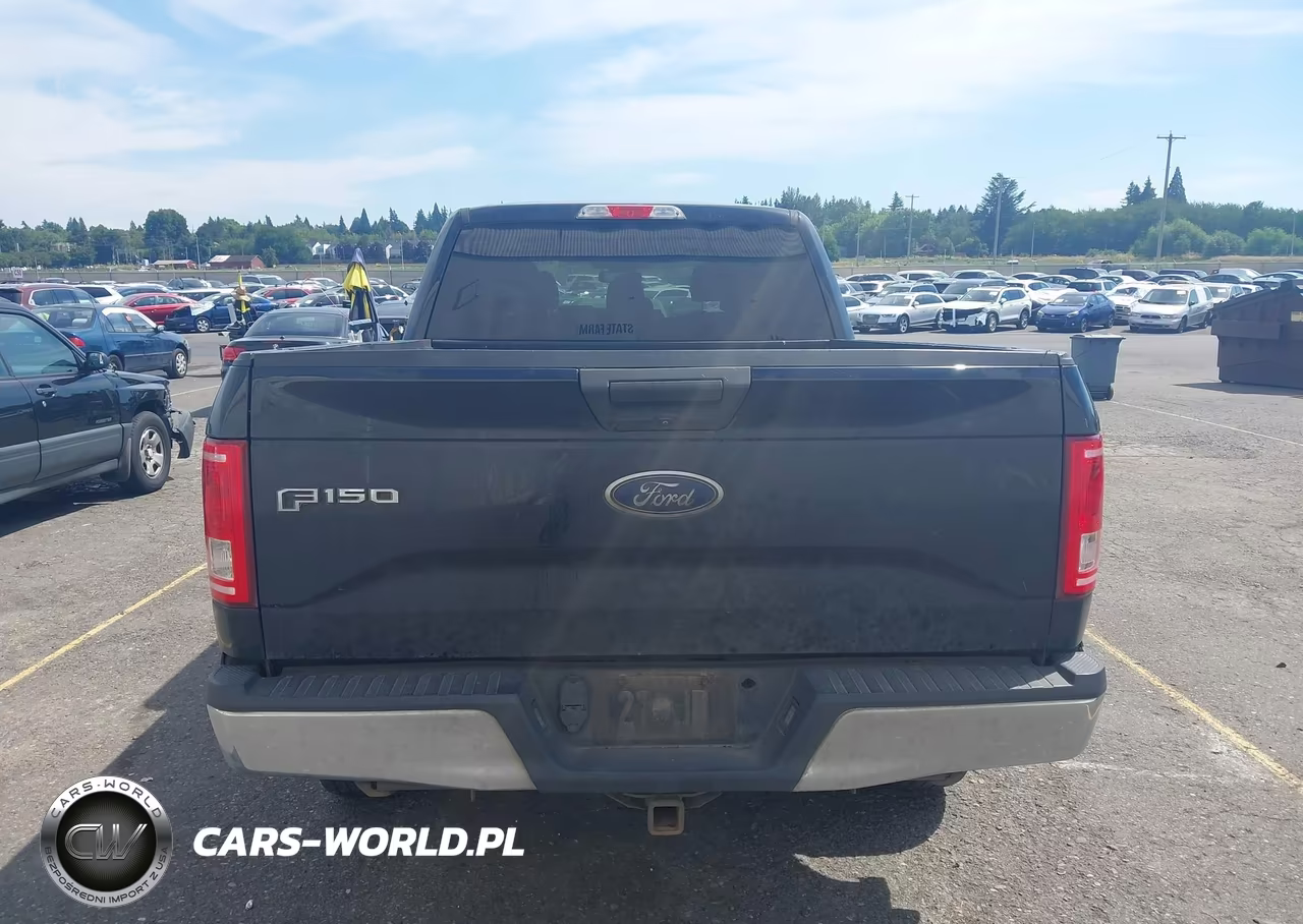 2015 Ford F-150 King Ranch-Lariat-Platinum-Xl-Xlt VIN:1FTFW1EG6FFB24851 - 16