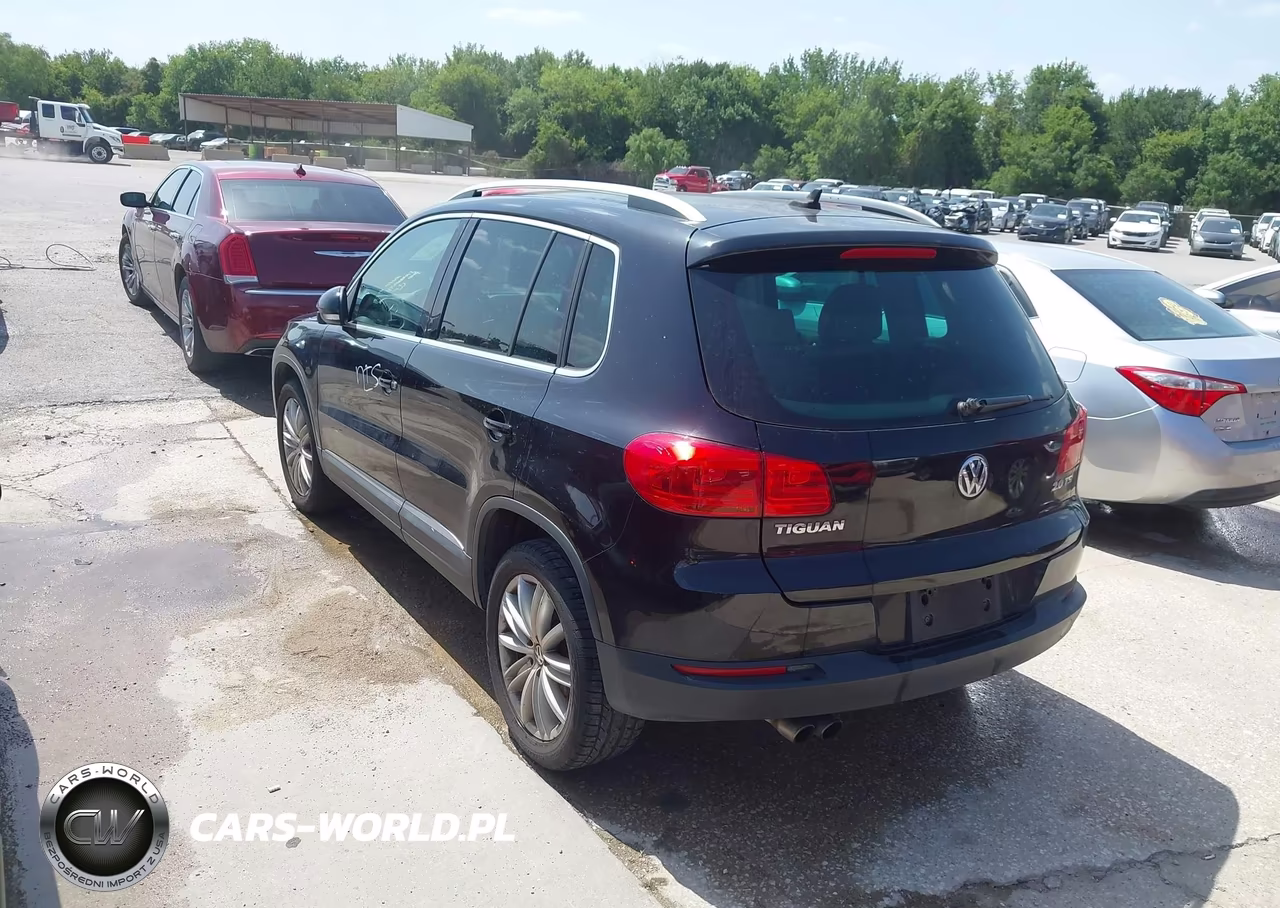 2012 Volkswagen Tiguan Se VIN:WVGAV7AX5CW555789 - 3