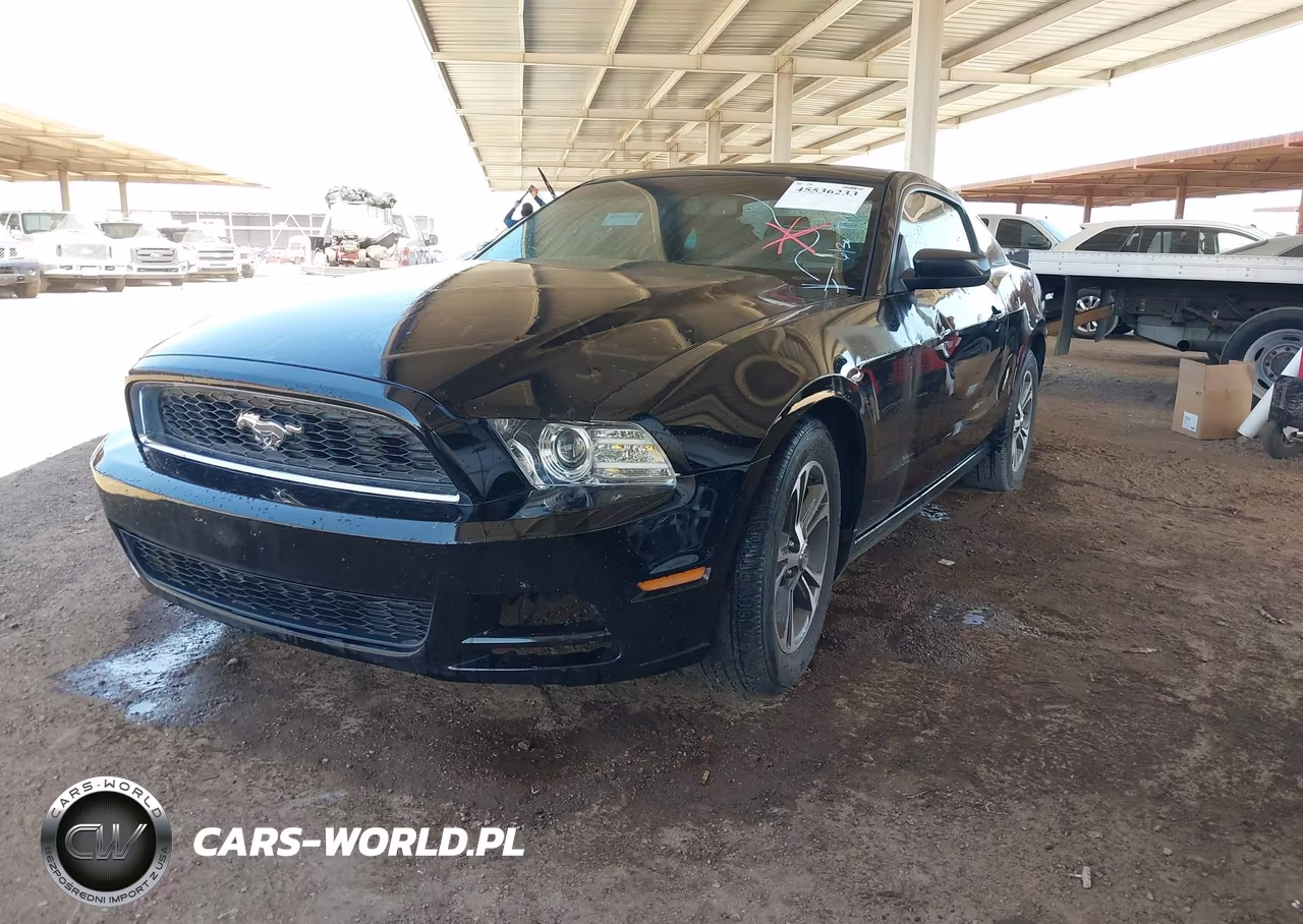 2014 Ford Mustang V6 Premium VIN:1ZVBP8AM2E5260377 - 2