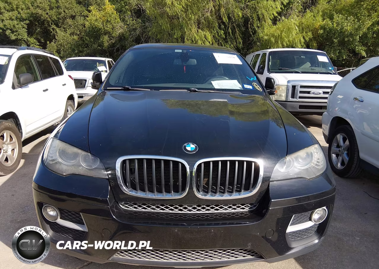 2013 BMW X6 xDrive35I VIN:5UXFG2C50DL786345 - 12