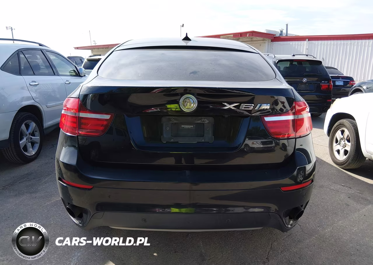 2013 BMW X6 xDrive35I VIN:5UXFG2C50DL786345 - 16