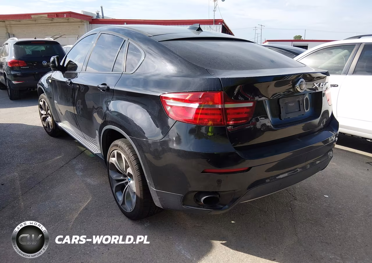 2013 BMW X6 xDrive35I VIN:5UXFG2C50DL786345 - 3