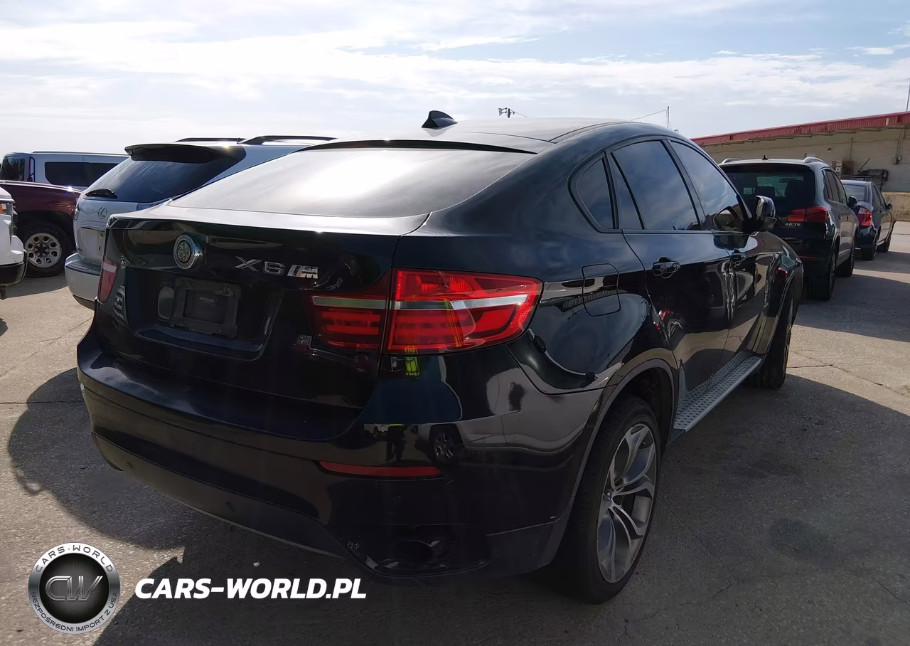 2013 BMW X6 xDrive35I VIN:5UXFG2C50DL786345 - 4