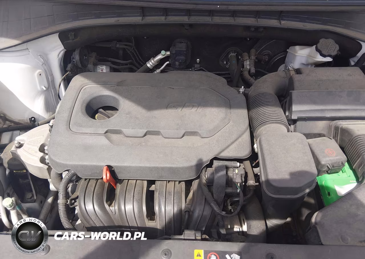 2016 Kia Sorento 2.4L Lx VIN:5XYPGDA33GG061132 - 10