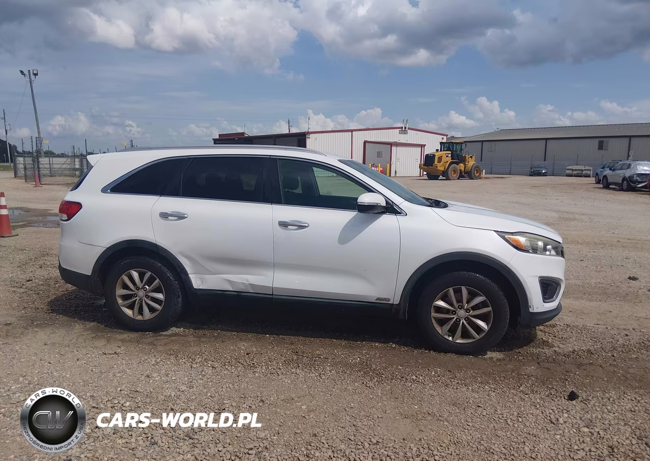 2016 Kia Sorento 2.4L Lx VIN:5XYPGDA33GG061132 - 13