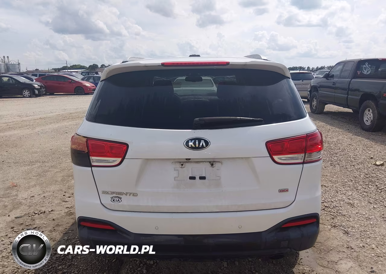 2016 Kia Sorento 2.4L Lx VIN:5XYPGDA33GG061132 - 16