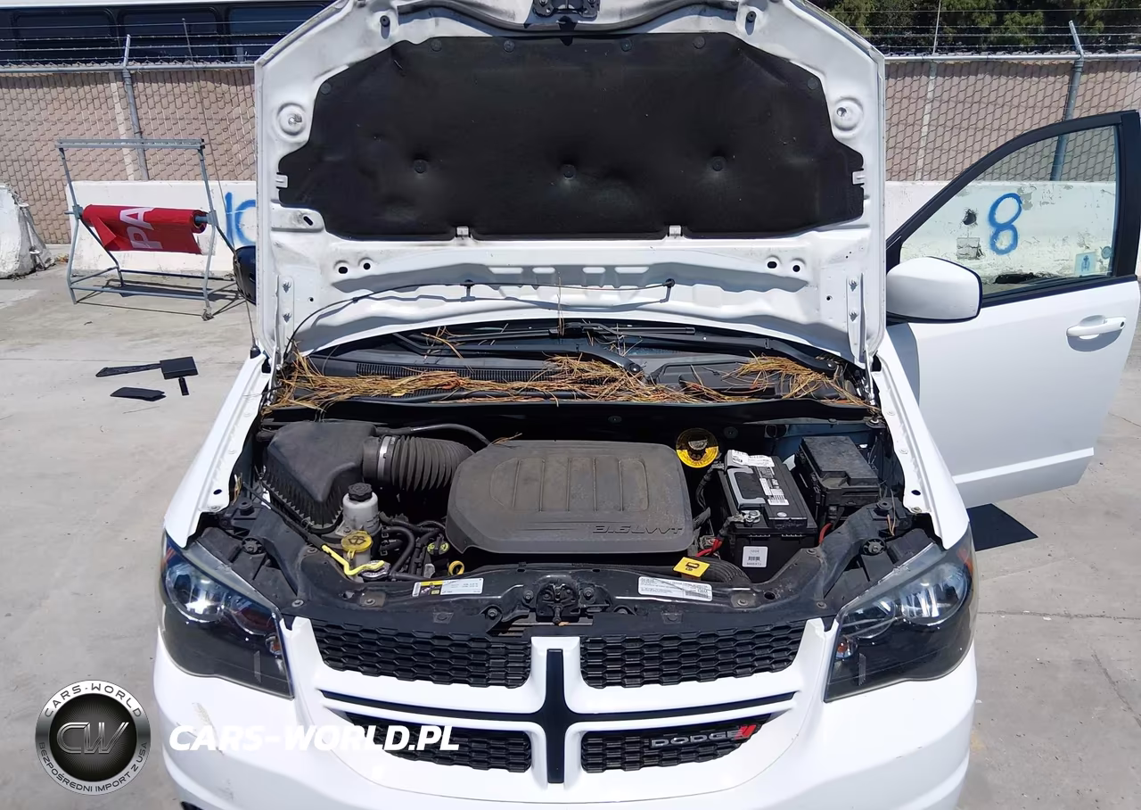 2019 Dodge Grand Caravan Gt VIN:2C4RDGEG9KR631252 - 10