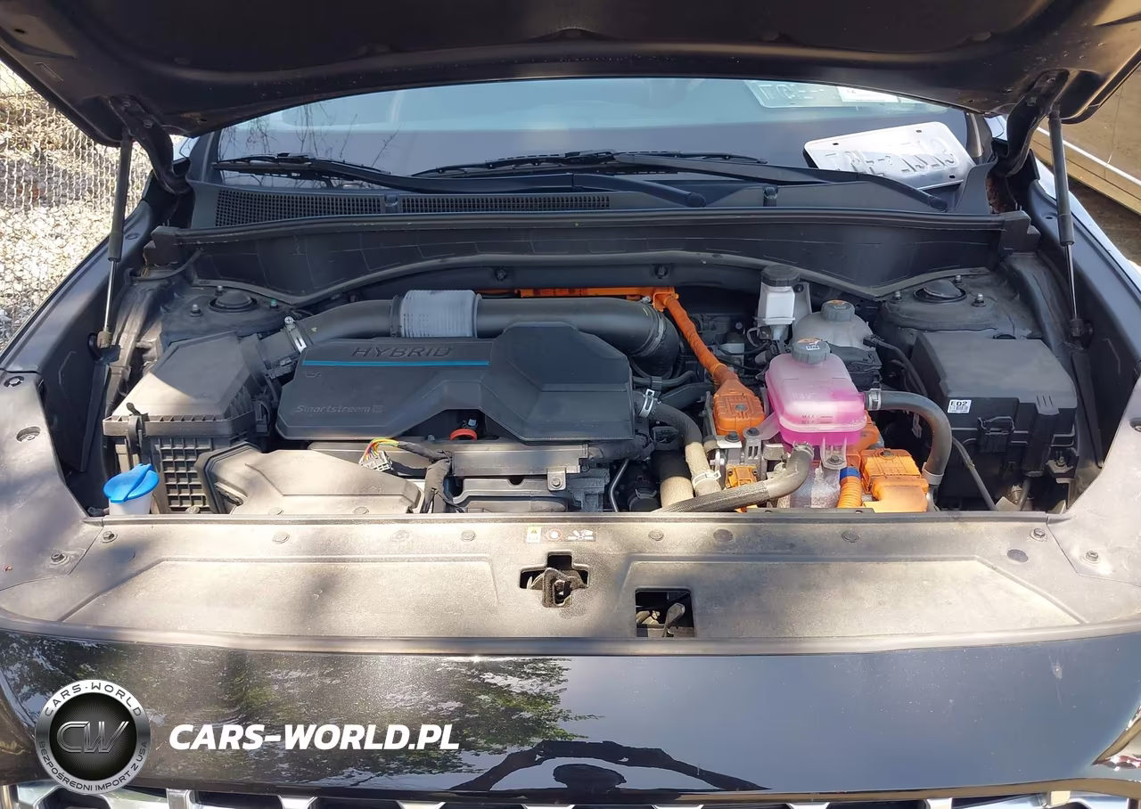 2023 Hyundai Santa Fe Hybrid Sel Premium VIN:5NMS3DA19PH014553 - 10
