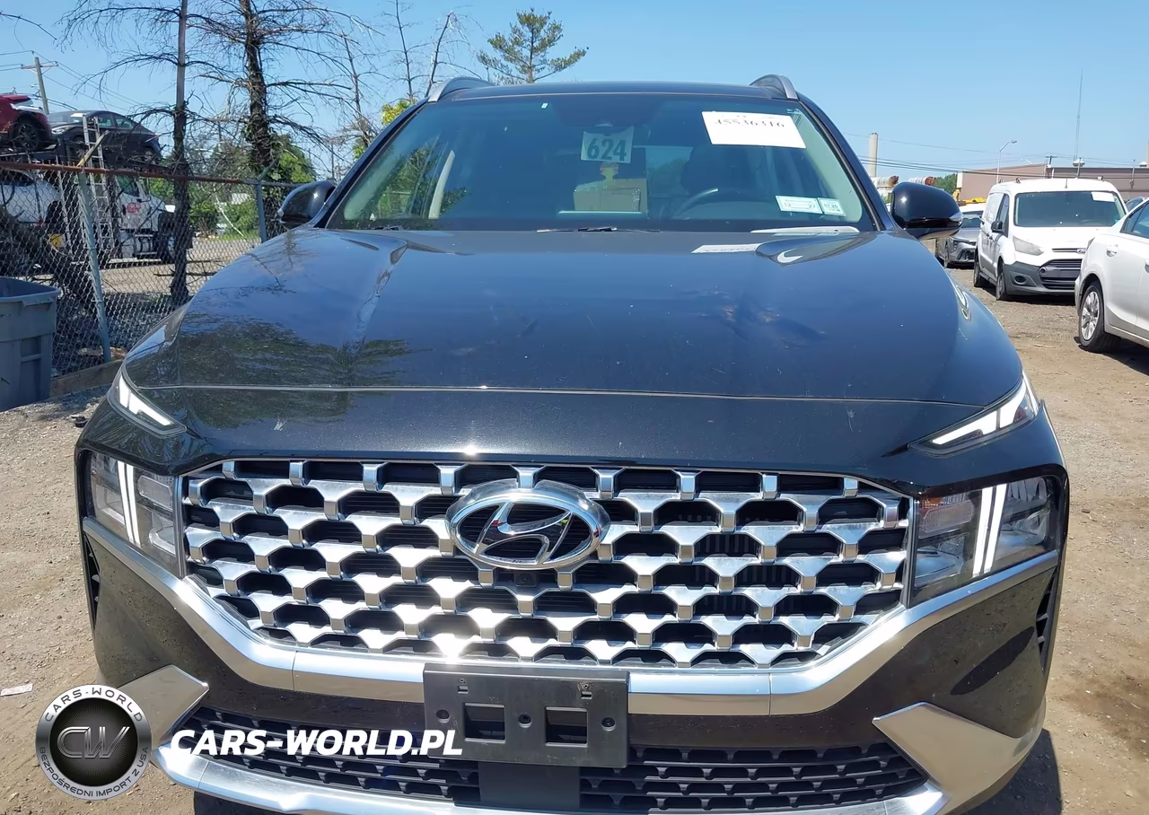 2023 Hyundai Santa Fe Hybrid Sel Premium VIN:5NMS3DA19PH014553 - 12