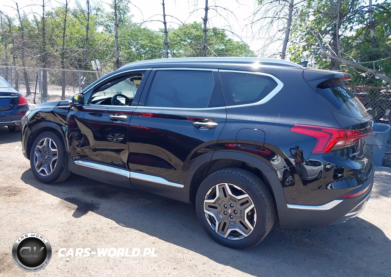 2023 Hyundai Santa Fe Hybrid Sel Premium VIN:5NMS3DA19PH014553 - 14