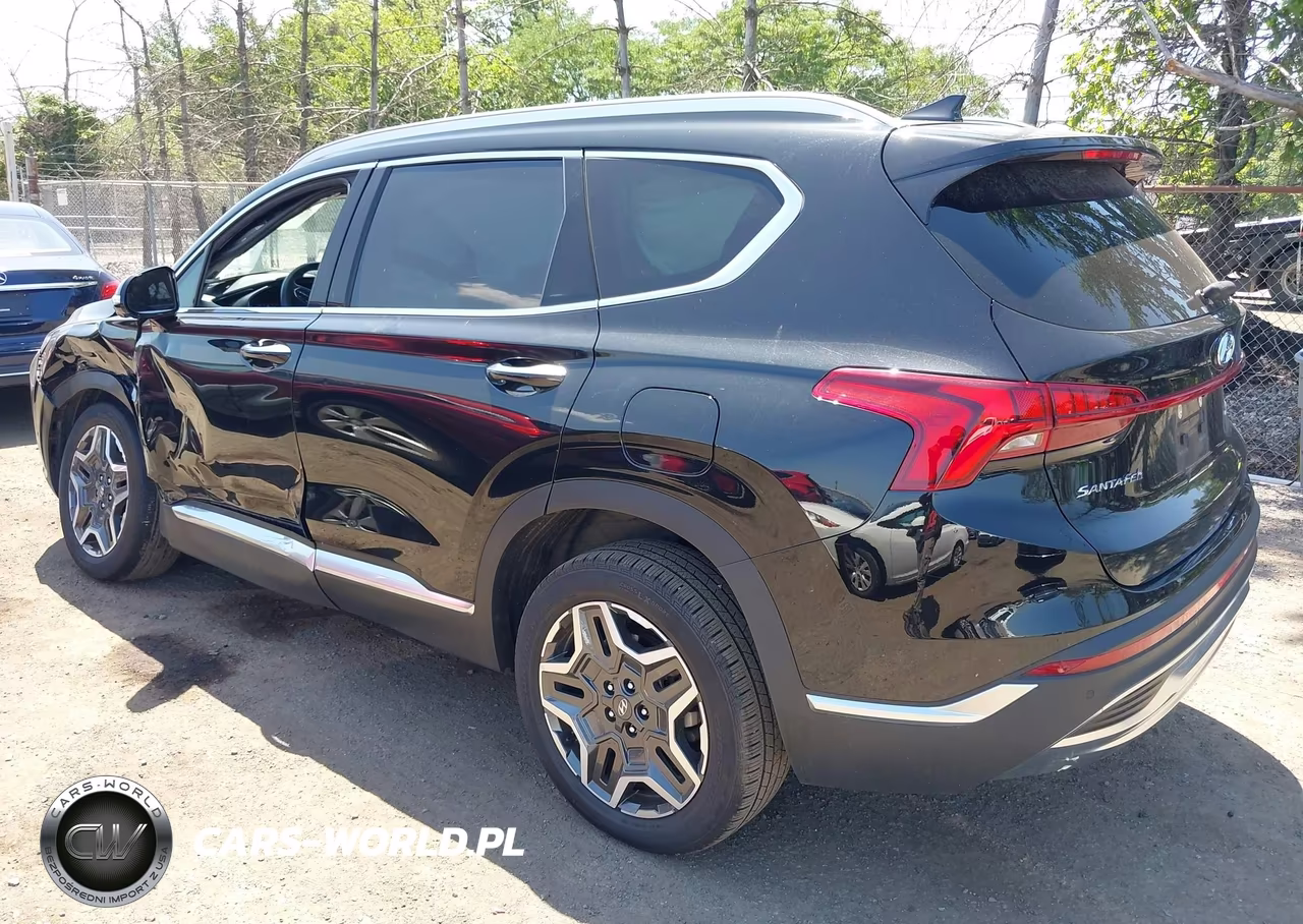 2023 Hyundai Santa Fe Hybrid Sel Premium VIN:5NMS3DA19PH014553 - 3