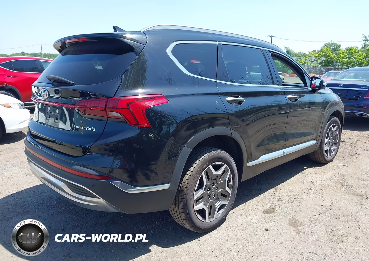 2023 Hyundai Santa Fe Hybrid Sel Premium VIN:5NMS3DA19PH014553 - 4