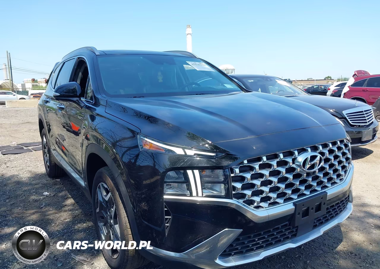 2023 Hyundai Santa Fe Hybrid Sel Premium VIN:5NMS3DA19PH014553 - 6