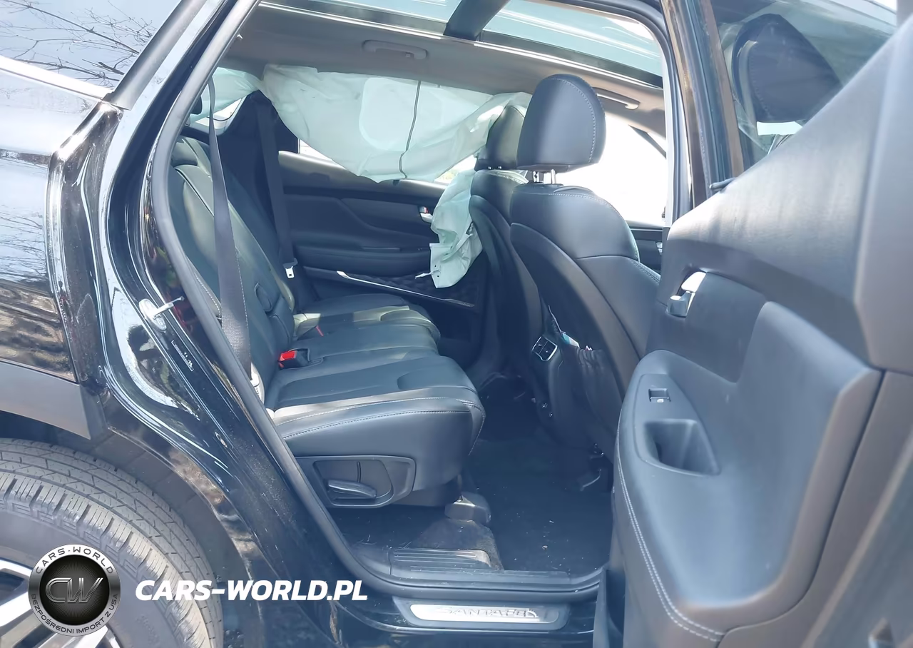 2023 Hyundai Santa Fe Hybrid Sel Premium VIN:5NMS3DA19PH014553 - 8