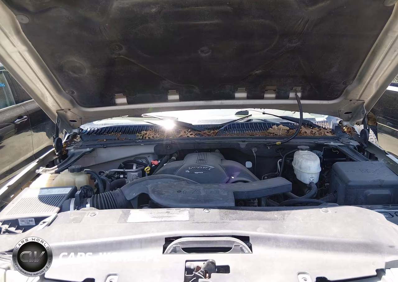 2005 Cadillac Escalade Standard VIN:1GYEC63N65R234129 - 10