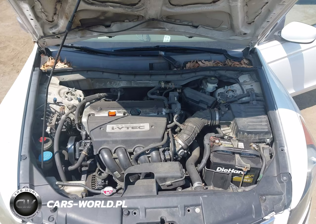 2009 Honda Accord 2.4 Lx VIN:1HGCP263X9A008704 - 10