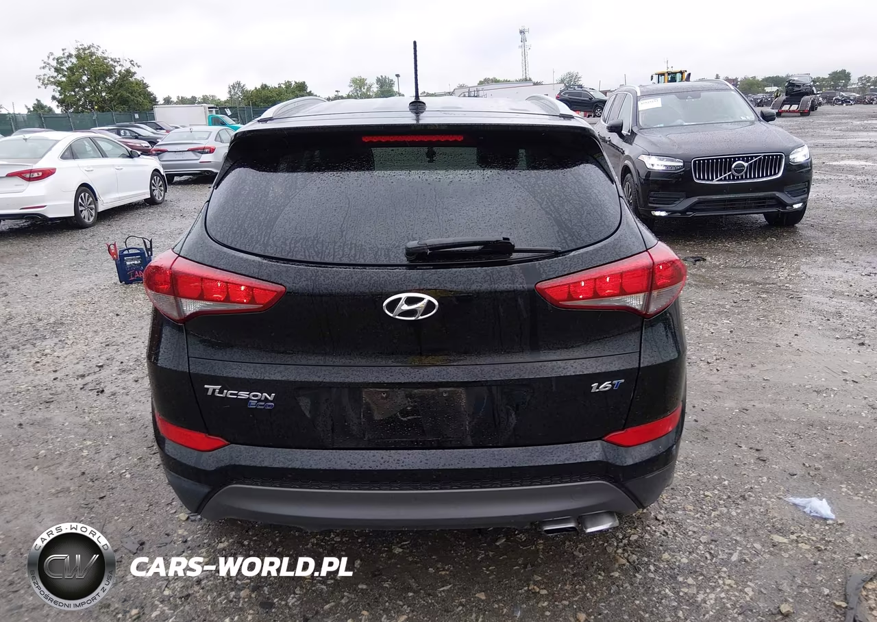 2016 Hyundai Tucson Eco VIN:KM8J33A20GU138813 - 16