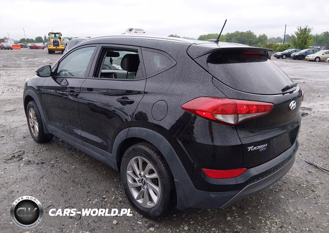 2016 Hyundai Tucson Eco VIN:KM8J33A20GU138813 - 3
