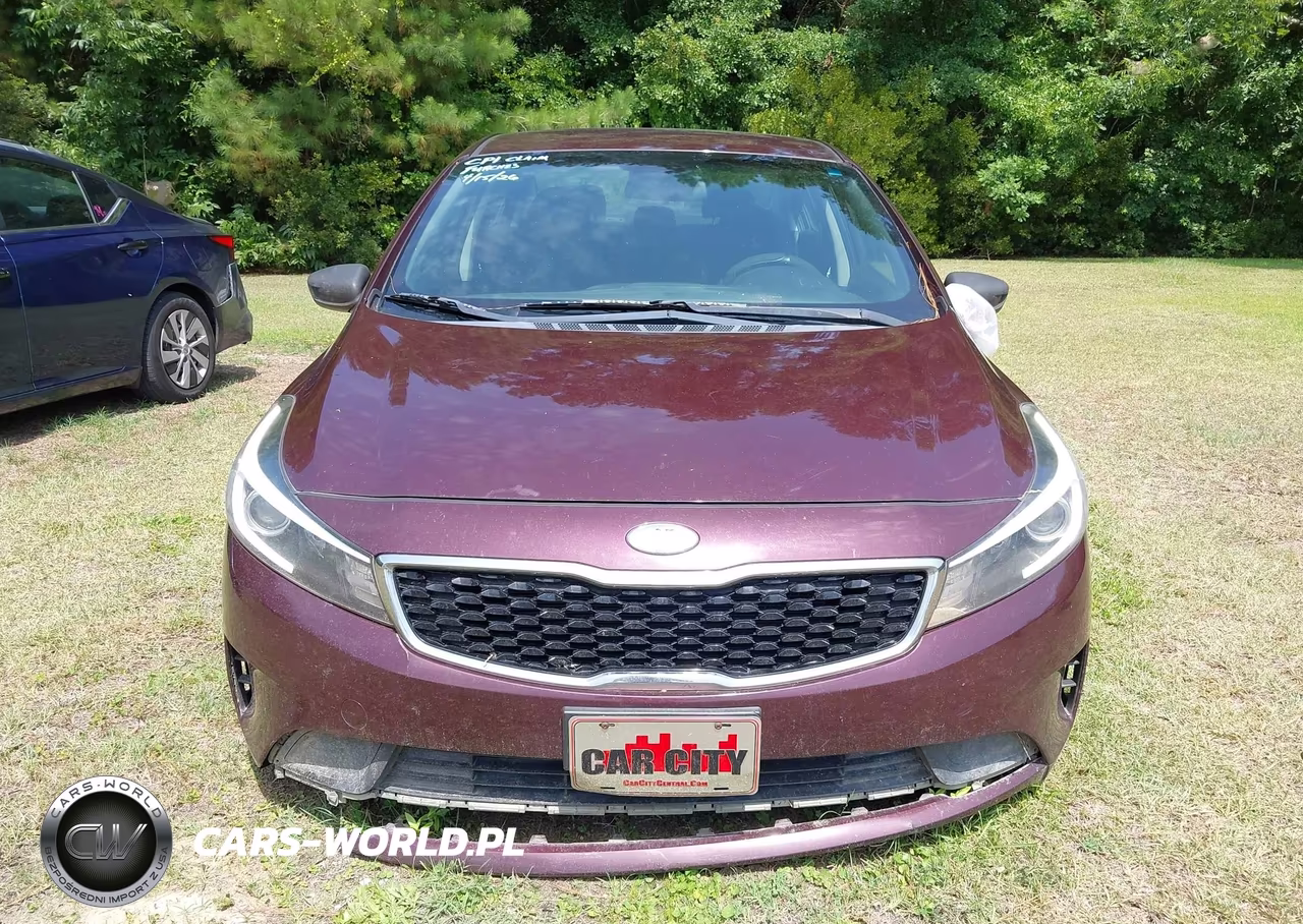 2018 Kia Forte Lx VIN:3KPFL4A78JE248722 - 13