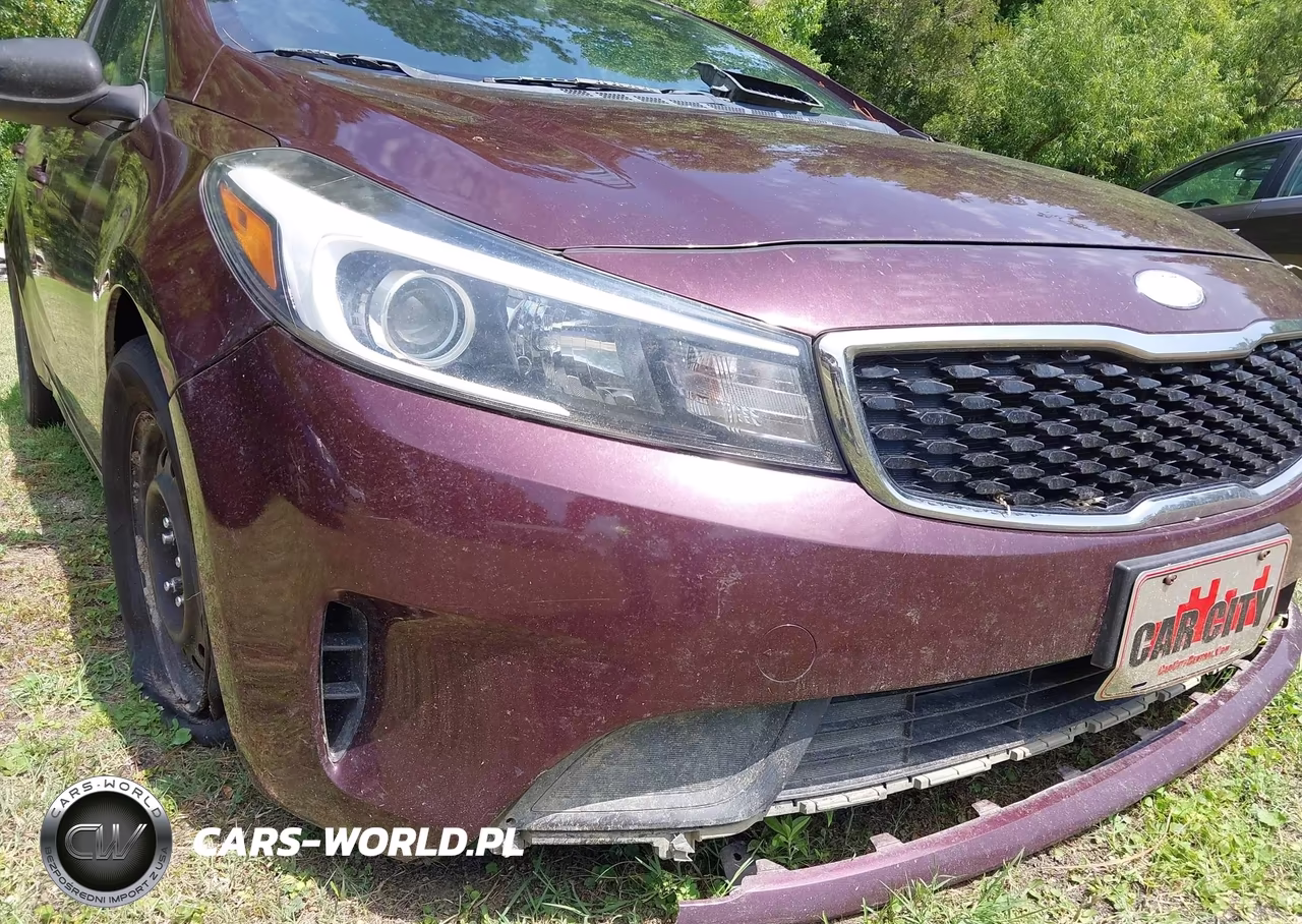 2018 Kia Forte Lx VIN:3KPFL4A78JE248722 - 18