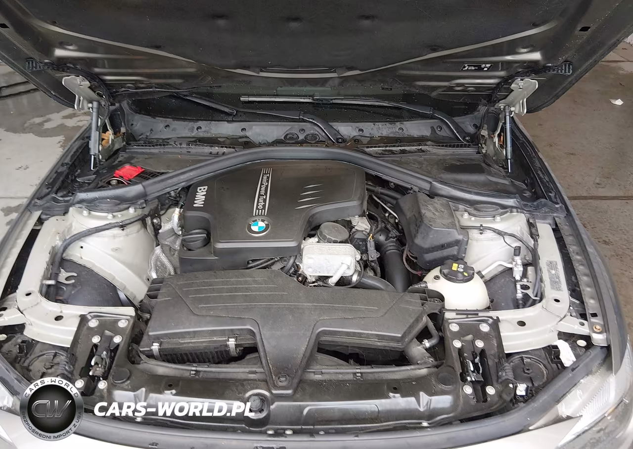 2016 BMW 320I xDrive VIN:WBA8A3C56GK551358 - 10