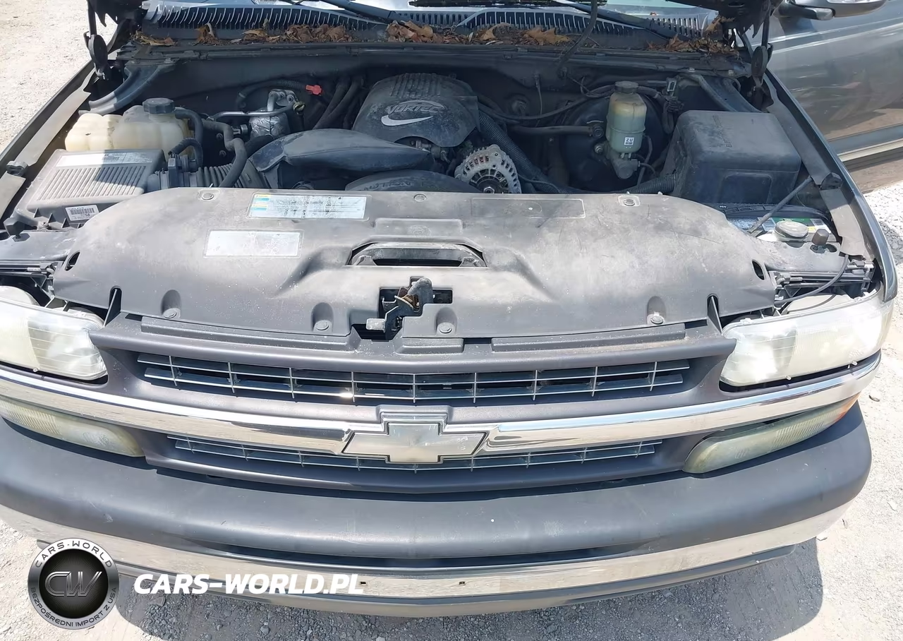 2002 Chevrolet Silverado 1500 Ls VIN:1GCEC19T22E168647 - 10