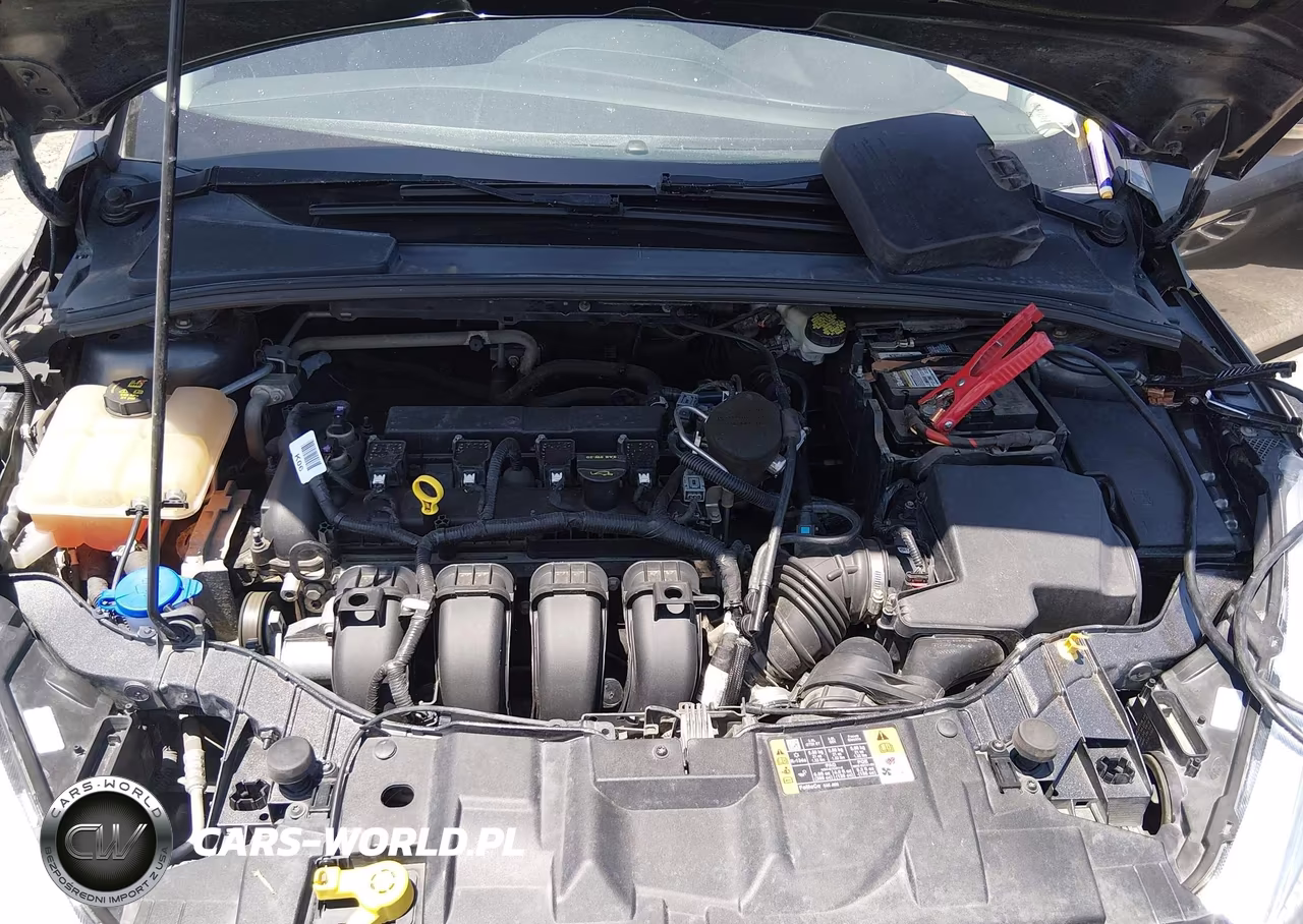 2016 Ford Focus Se VIN:1FADP3K20GL237891 - 10