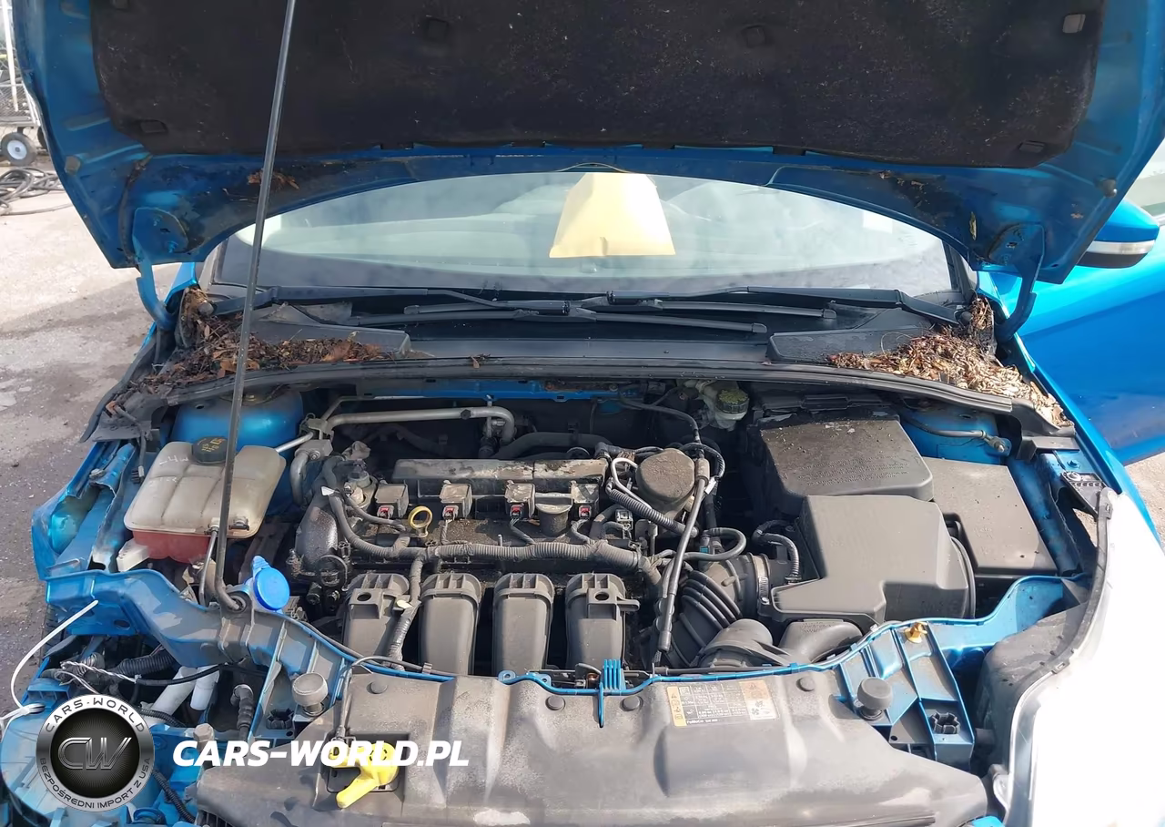 2014 Ford Focus Se VIN:1FADP3F28EL269186 - 10