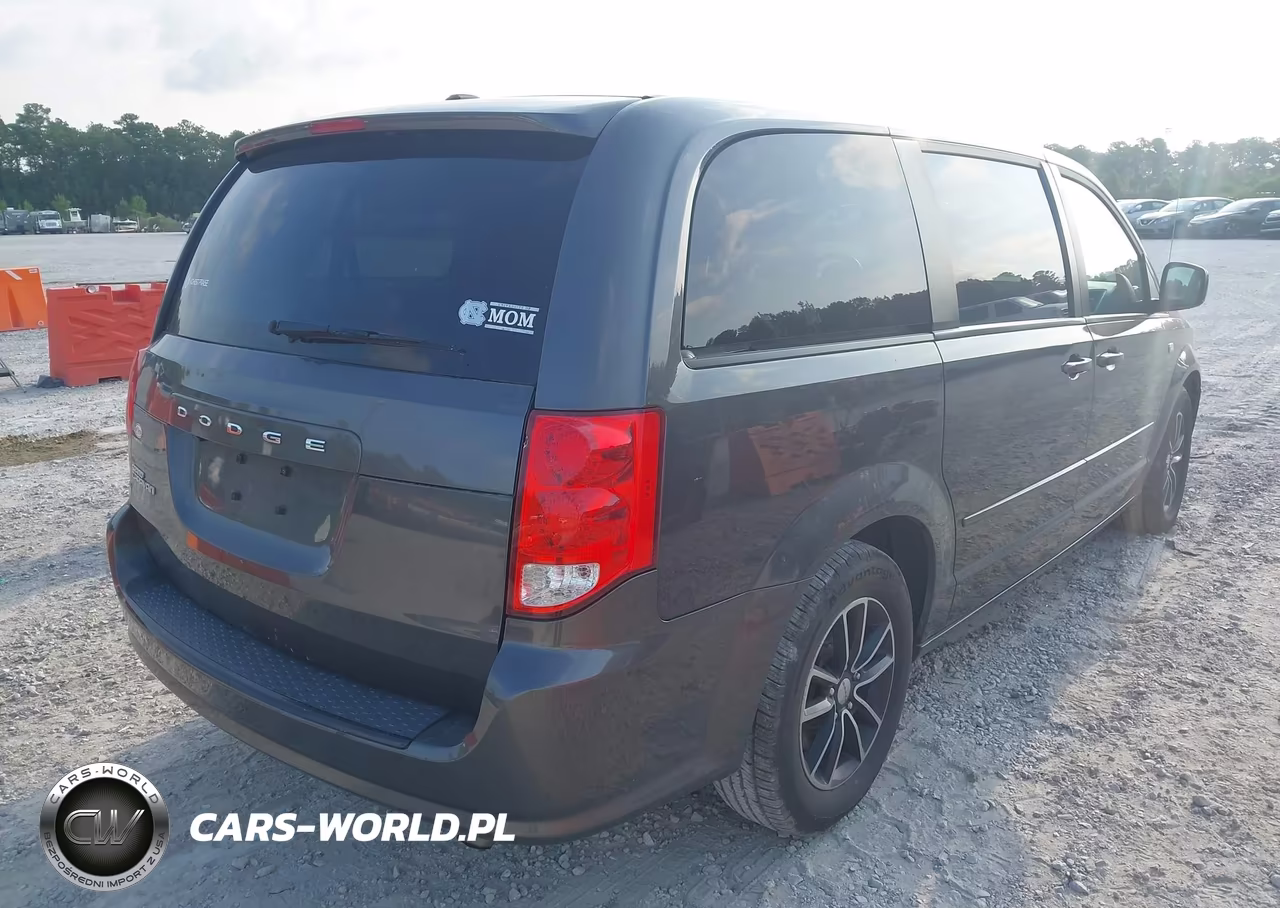 2014 Dodge Grand Caravan Sxt 30Th Anniversary VIN:2C4RDGCG8ER419420 - 4