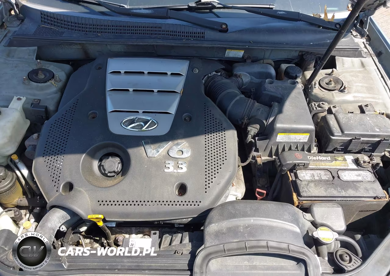 2008 Hyundai Sonata Limited V6-Se V6 VIN:5NPEU46F68H303411 - 10