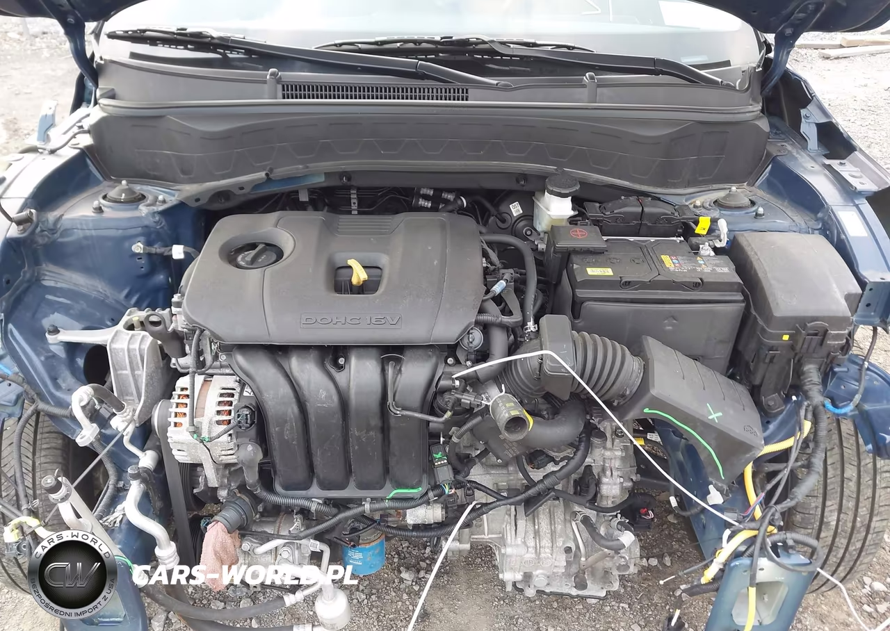 2024 Kia Seltos Ex VIN:KNDERCAA5R7649981 - 10
