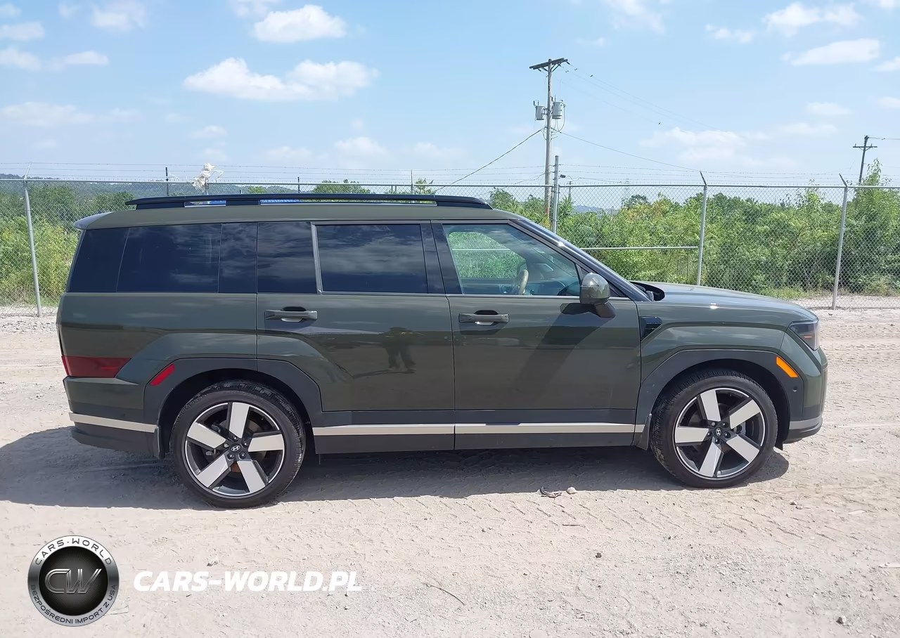 2025 Hyundai Santa Fe Limited VIN:5NMP4DGL9SH117069 - 14
