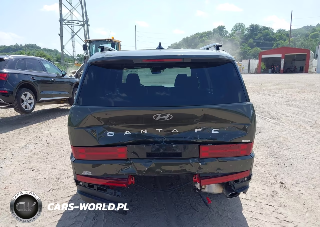 2025 Hyundai Santa Fe Limited VIN:5NMP4DGL9SH117069 - 17
