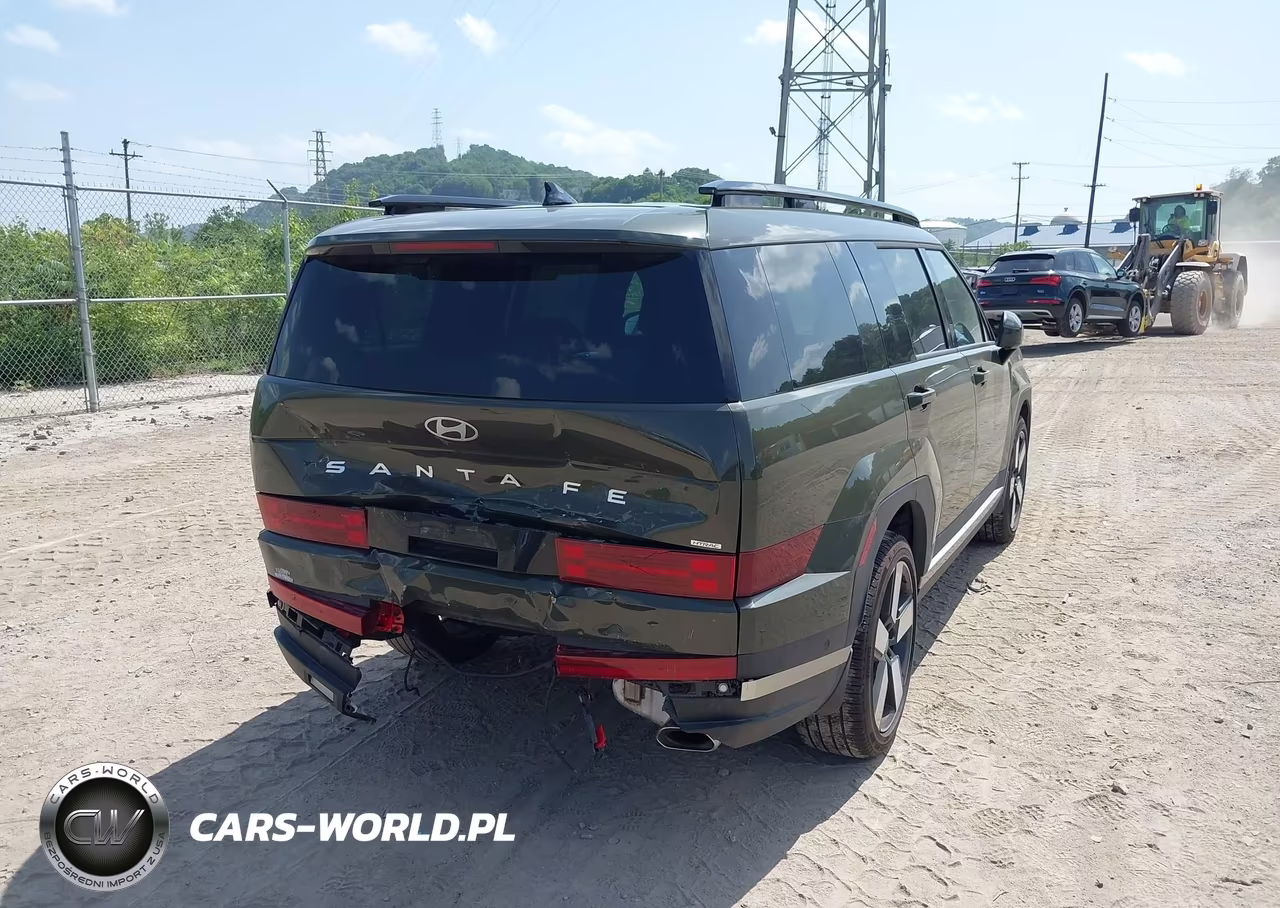 2025 Hyundai Santa Fe Limited VIN:5NMP4DGL9SH117069 - 4